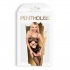 BODYSTOCKING HOT NIGHTFALL PENTHOUSE NEGRO